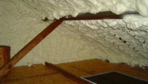 Loft Insulation Services